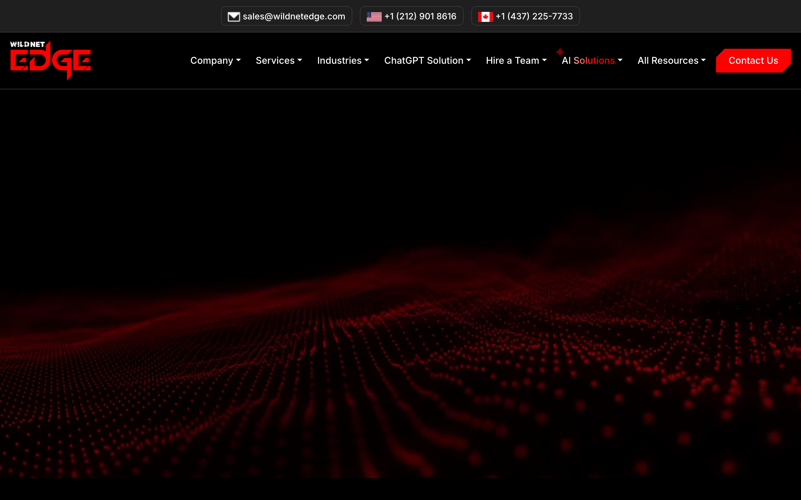 Replit Agency with Wildnet Edge